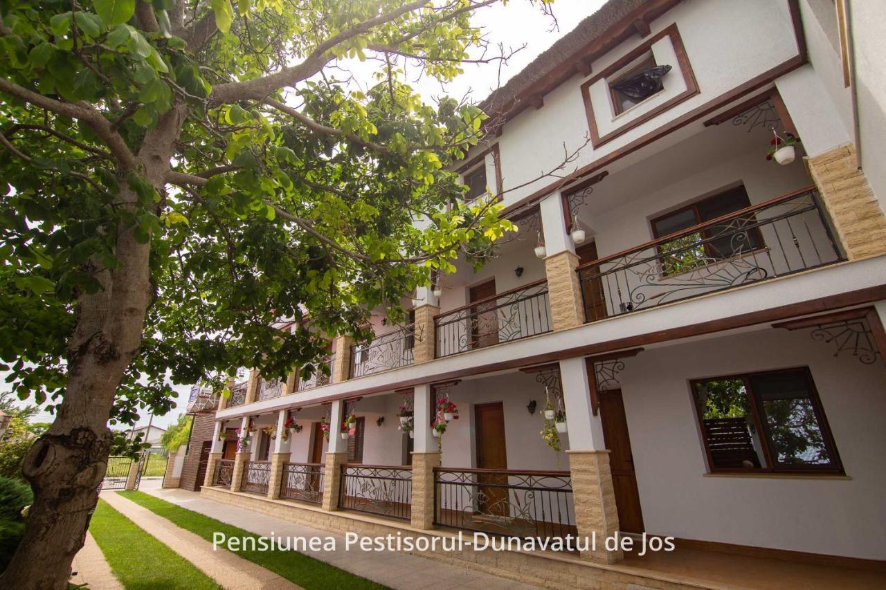 Pensiunea Pestisorul Dunavatu de Jos Exterior photo