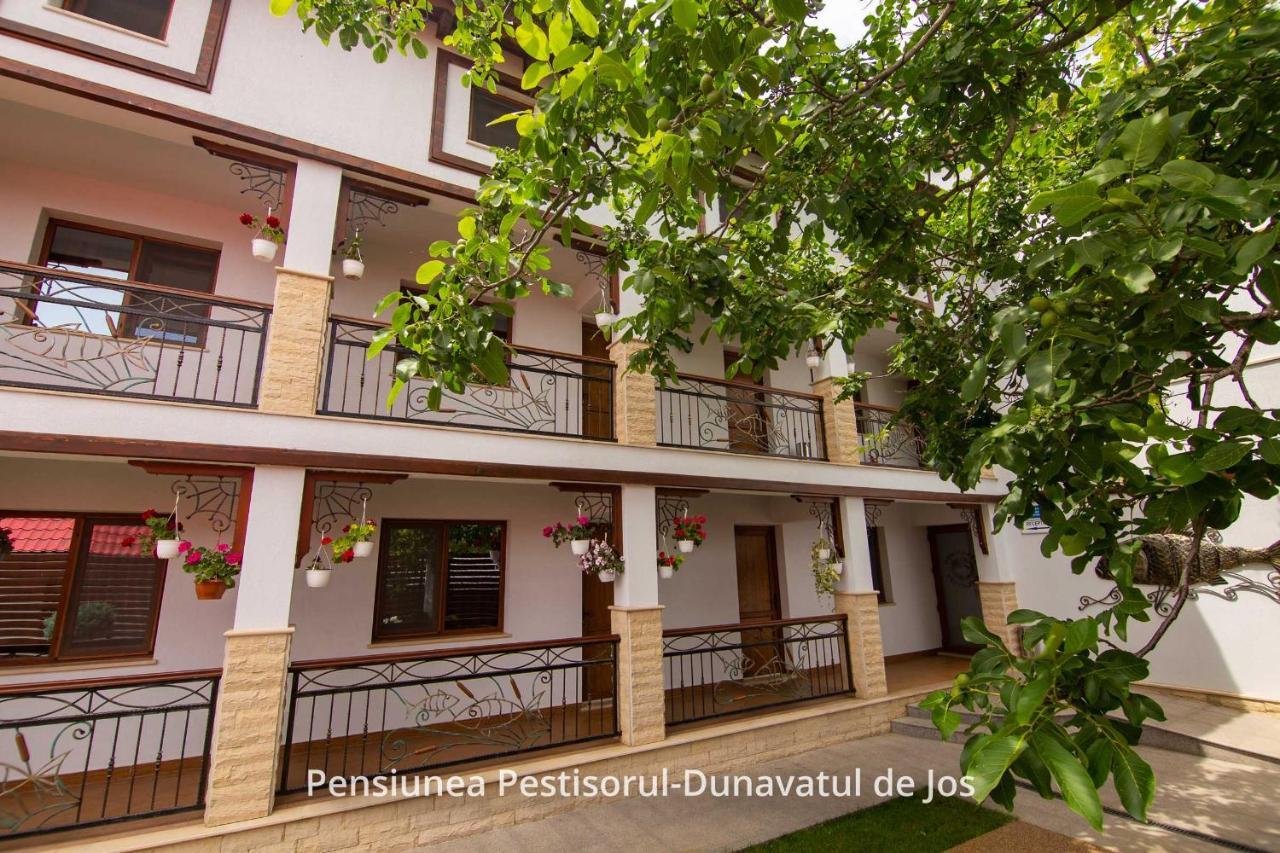 Pensiunea Pestisorul Dunavatu de Jos Exterior photo