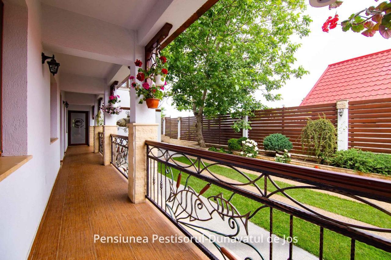 Pensiunea Pestisorul Dunavatu de Jos Exterior photo